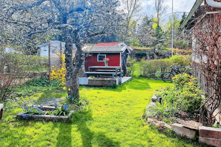 House with garden — photo 4