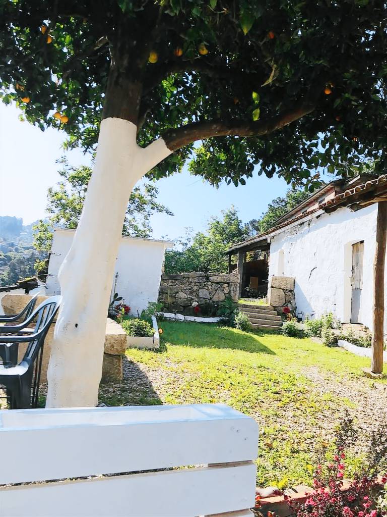 Casa  Ribadavia