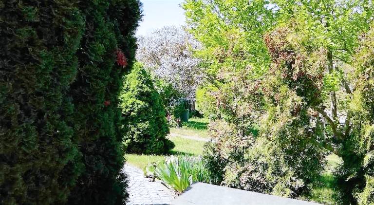 Beautiful house | Pets are welcome — photo 4