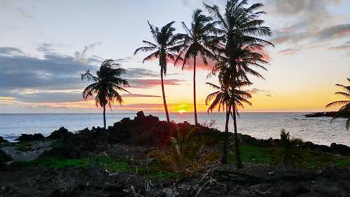 Bed & Breakfast Ocean View