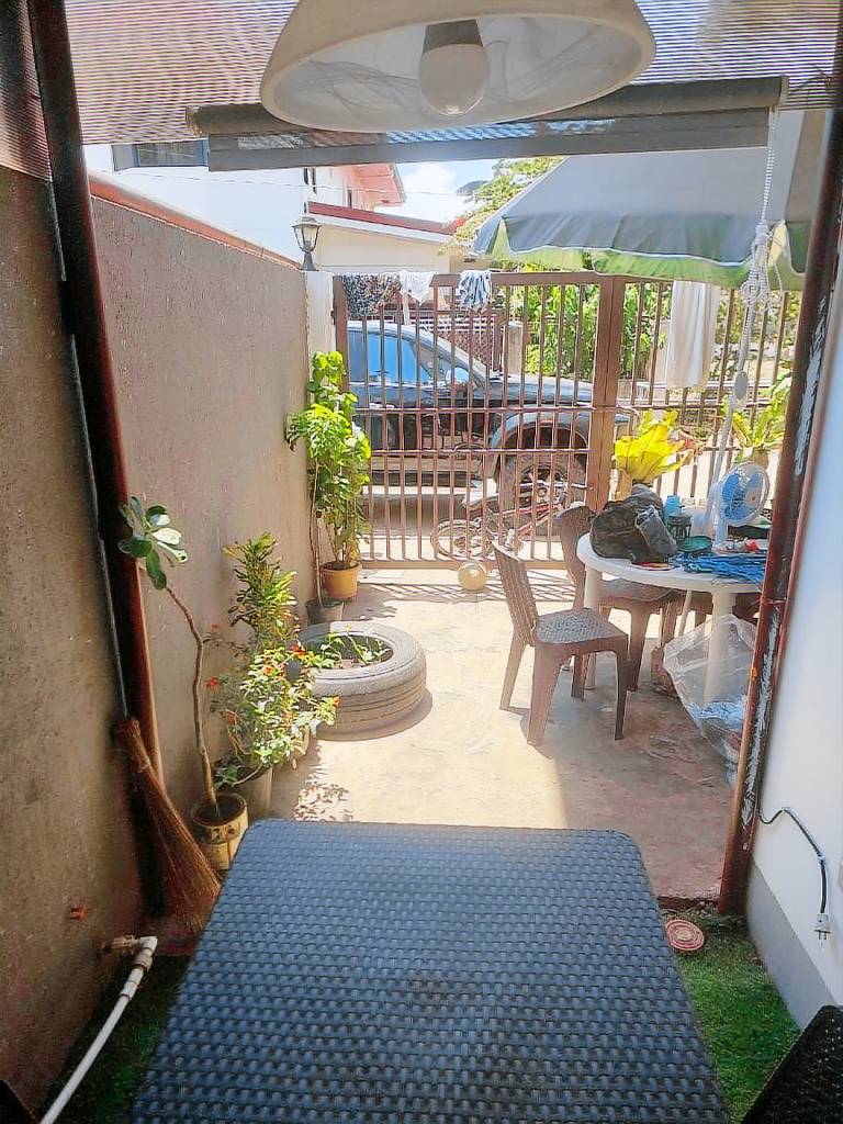 House with yard — photo 4