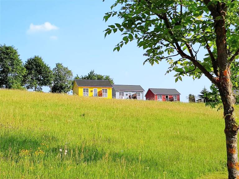 House with garden, patio & barbeque | Garden view — photo 2