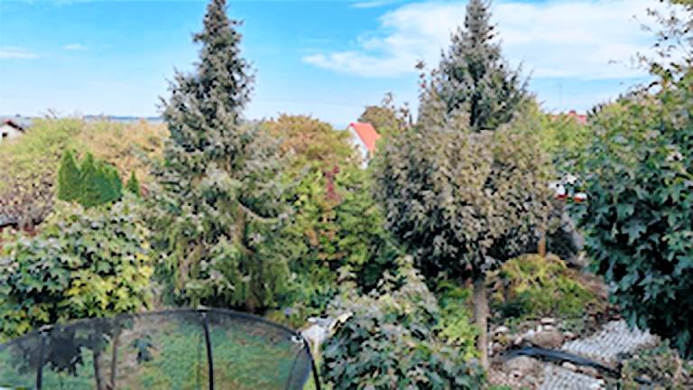 Ferienwohnung Haßfurt