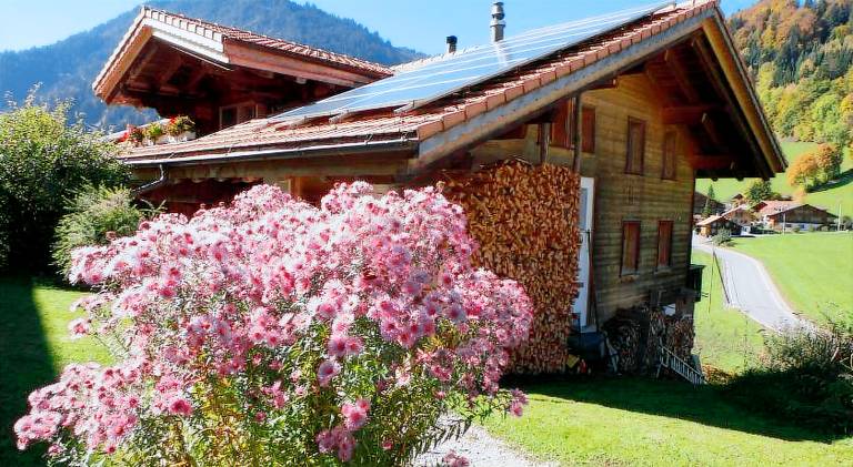 foto8