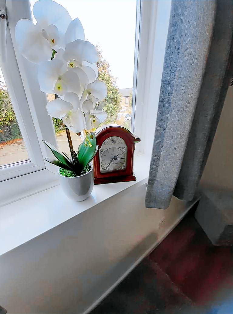 foto2