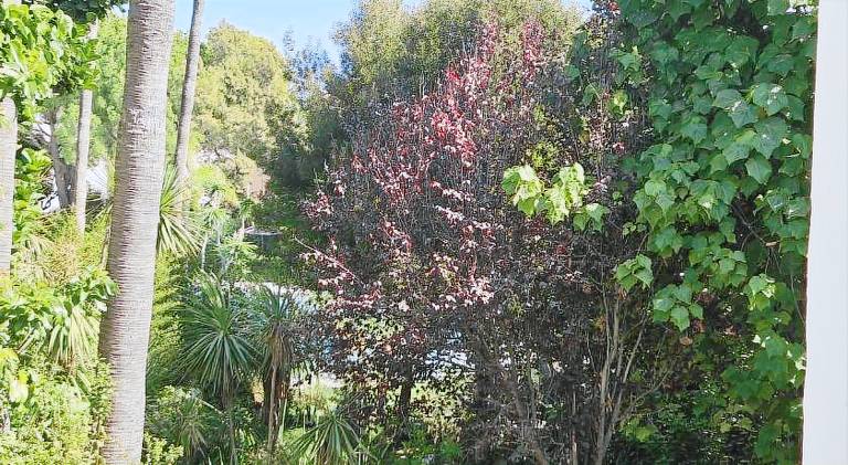 Fully equipped holiday apartment with pool & yard | Suitable for remote work | Pets are welcome — photo 2
