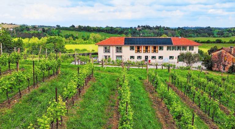 Farm with yard | Pets allowed in San Pietro di Feletto