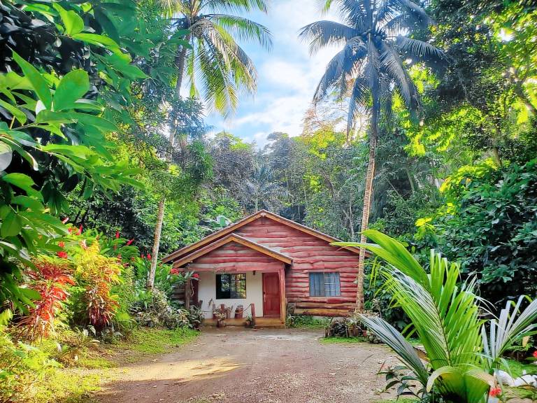 Cabin  Saint Ann's Bay