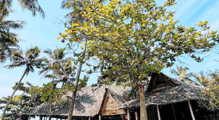 Varkala Marine Palace — photo 4