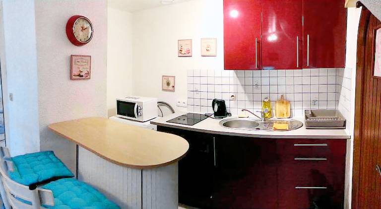 Holiday apartment with 1 room for 3 persons — photo 4