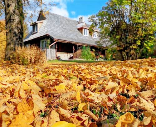 Bed & Breakfast Dwernik