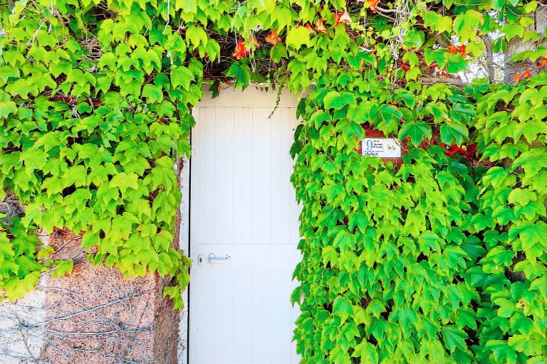 Ferienhaus in Carloforte f&uuml;r max. 4 Personen, 