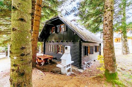 Apartma  Planina na Pohorju