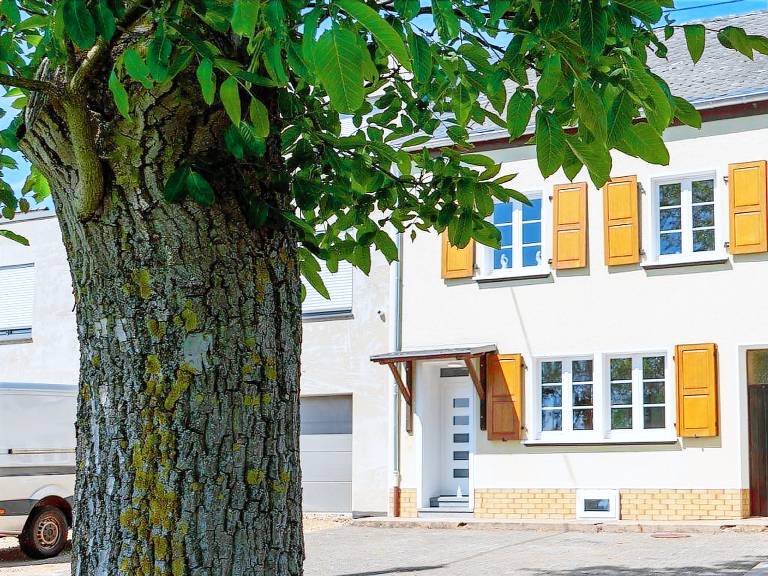 Ferienhaus Schweich