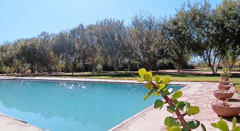 Kwelanga River Lodge — photo 4