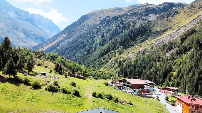Pension Alpin — photo 4