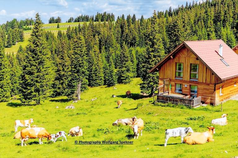 Big vacation home with sauna, barbeque & garden | Close to the ski | Pet-friendly — photo 4