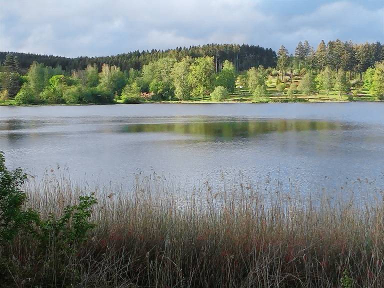 Ferienwohnung Losheim am See