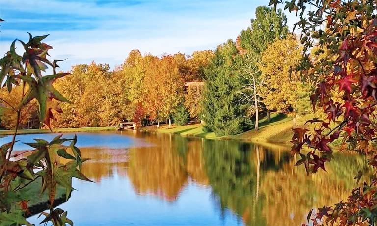 Condo Crossville