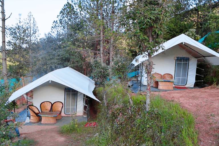 Tent  Dhanachuli