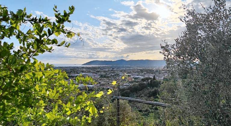 Apartment with 1 room for 4 persons in Carrara