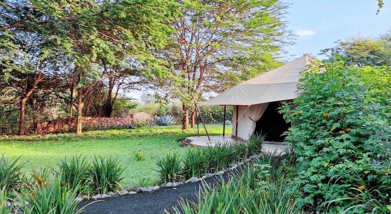Tent with pool, yard & terrace in Arusha