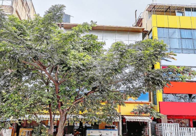 House Basavanagudi