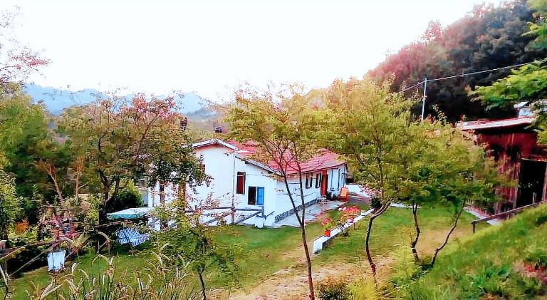 B&B la Casa del daino