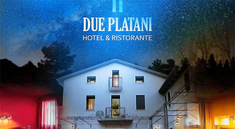Hotel Due Platani in Vicenza