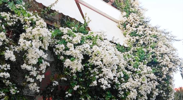 Apartment with terrace in Aegina