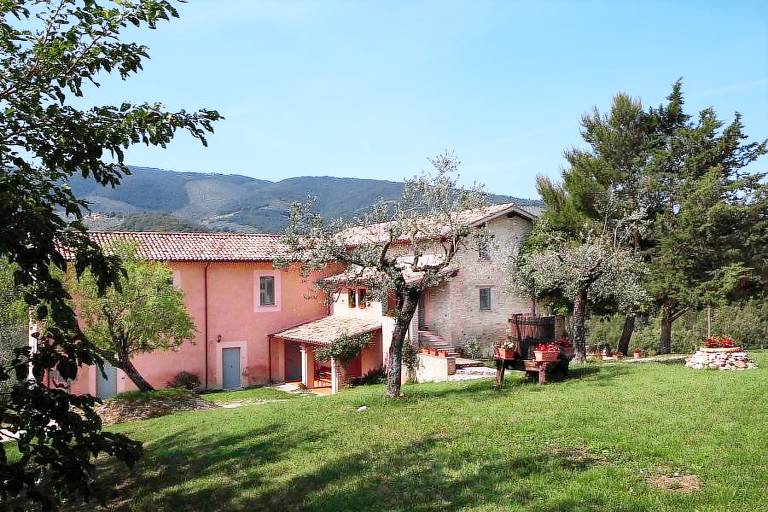 Tenuta San Felice: GELSO — photo 3