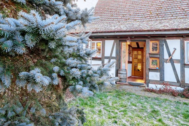 Holiday apartment with barbeque, terrace & yard | Garden view in Haguenau