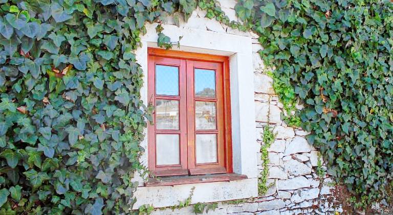 Beautiful house with patio, garden & barbeque | Pets are welcome in Leiria