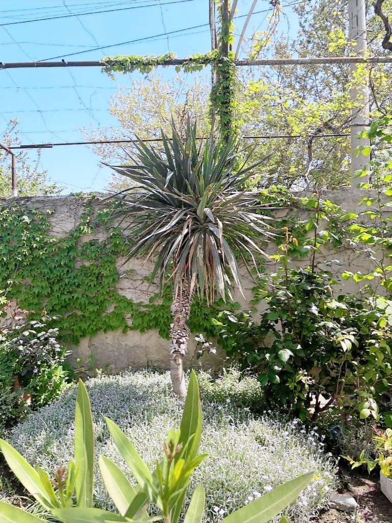 foto4