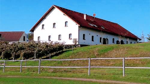 foto2