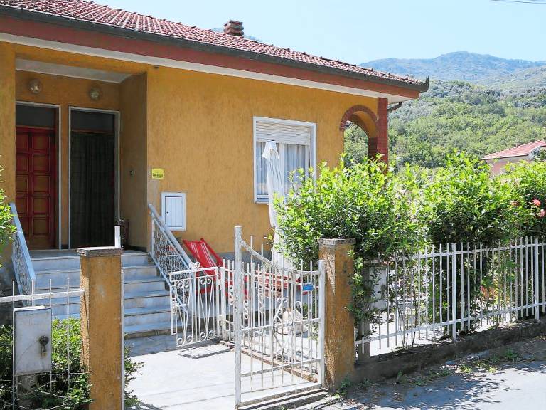 foto1