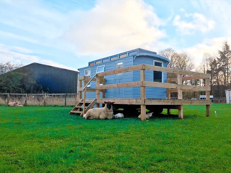 Cabin  Hawick