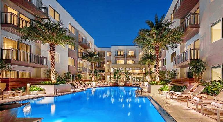 Holiday apartment with barbeque, pool & terrace | Good for workation | Pets are welcome in Tampa, FL