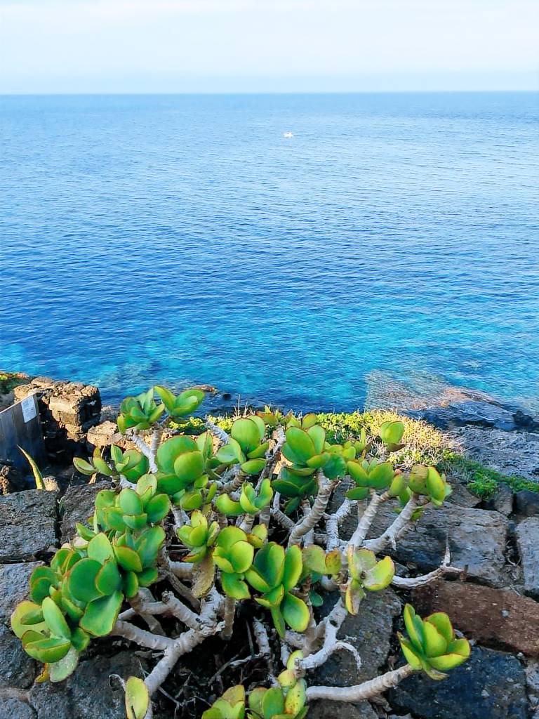 Pantelleria house between sea and hot springs — photo 2