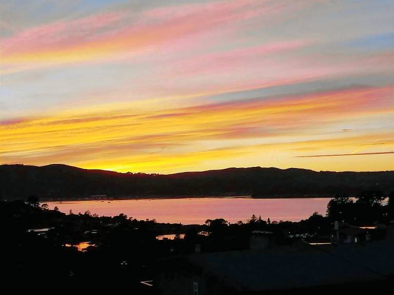 Apartment  Tiburon