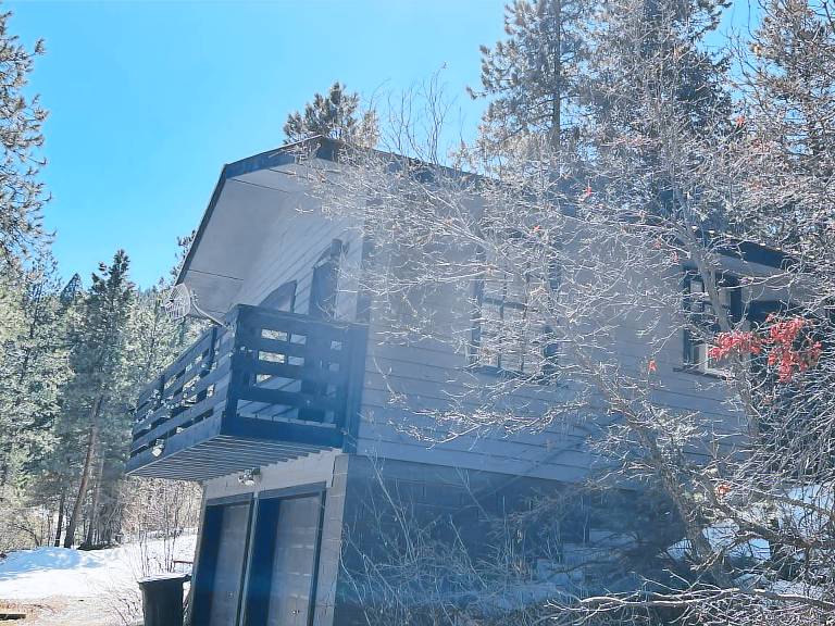 Cabin Morrison