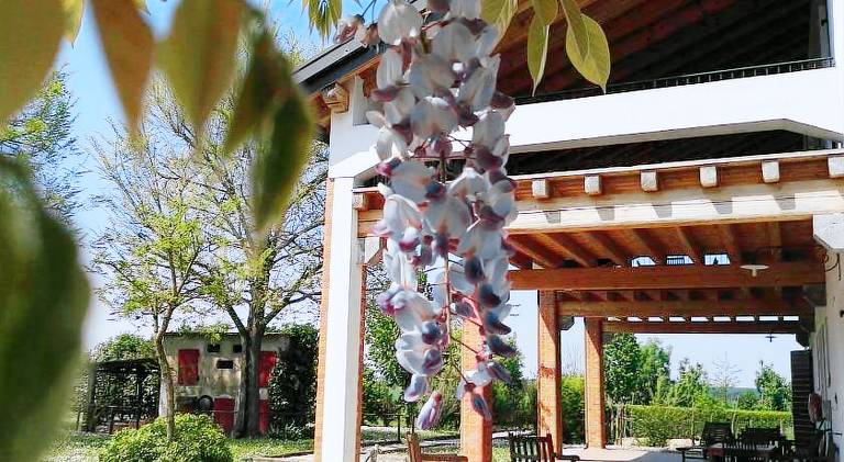 Rental apartment with patio & garden in Caorle