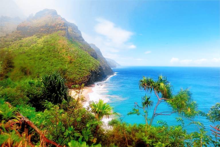 House Princeville