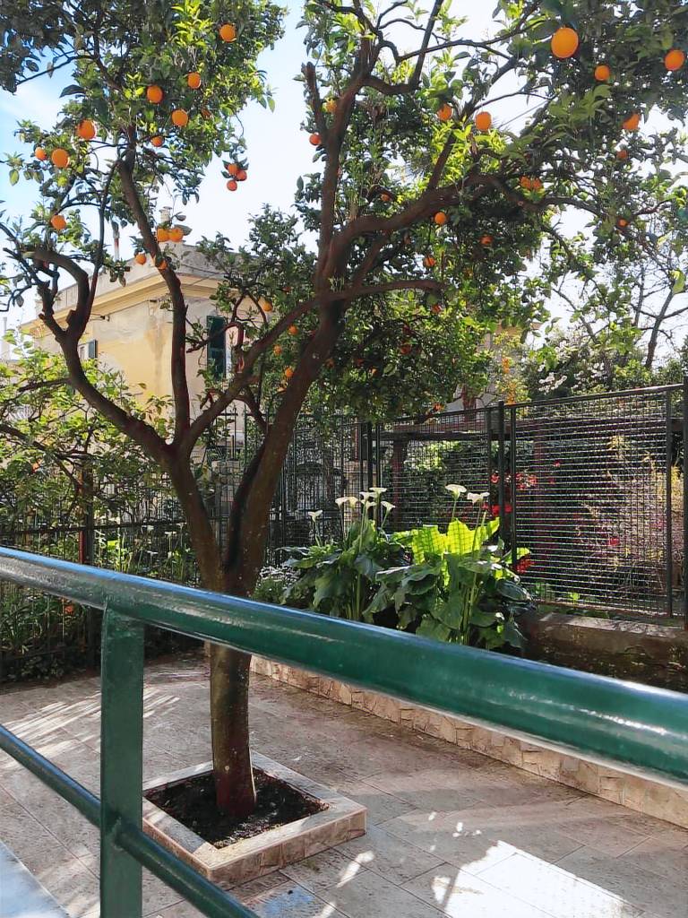 Appartement Nervi