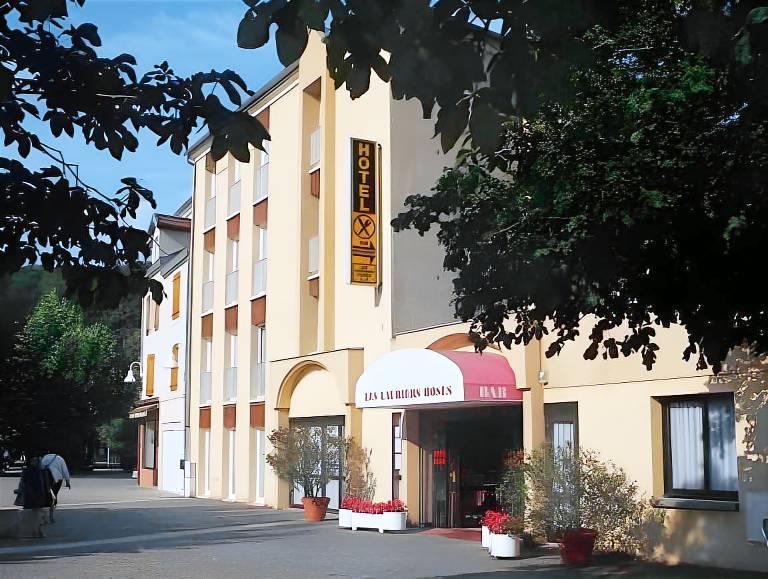 Hotel des Lauriers Roses in Vesoul