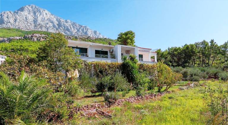 Holiday apartment with yard — photo 2