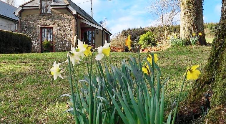 House Okehampton