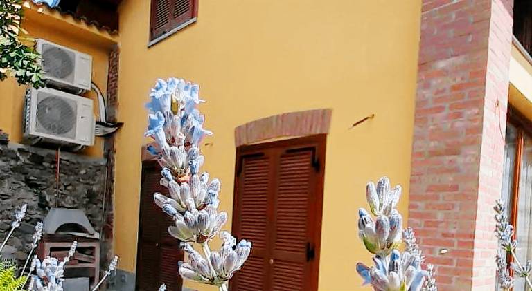 CASA LAVANDA