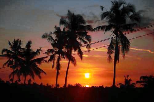 Vakantiepark Kampung Bugis