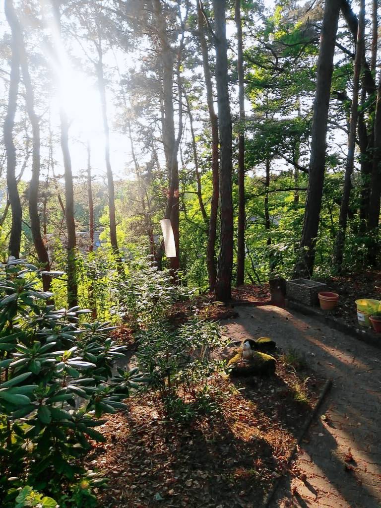 Ferienwohnung Kaiserslautern